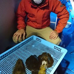 第三共栄丸 釣果