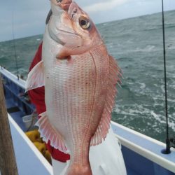 新幸丸 釣果