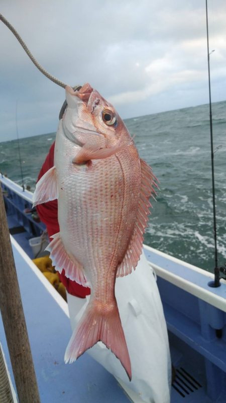 新幸丸 釣果