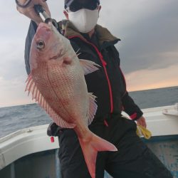 だて丸 釣果
