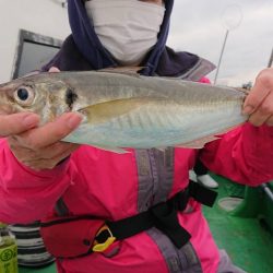 金沢八景鴨下丸 釣果