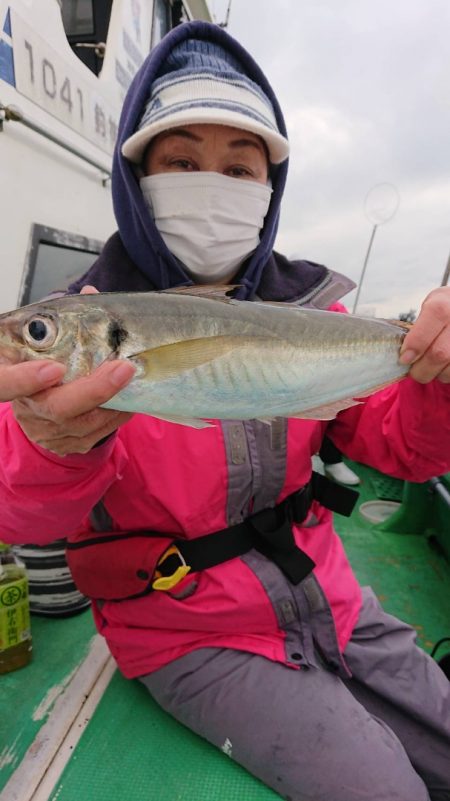 金沢八景鴨下丸 釣果