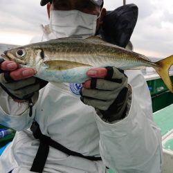 金沢八景鴨下丸 釣果