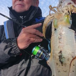 シースナイパー海龍 釣果