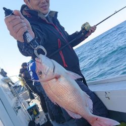 だて丸 釣果