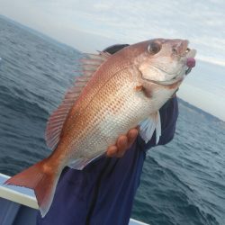 新幸丸 釣果