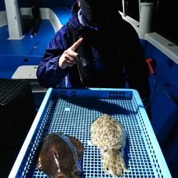 第三共栄丸 釣果