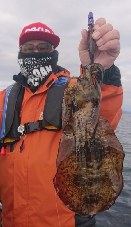 シースナイパー海龍 釣果