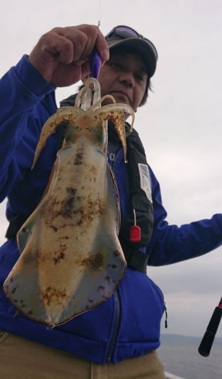 シースナイパー海龍 釣果
