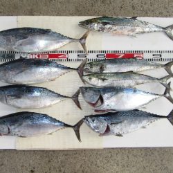 寿丸 釣果