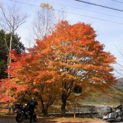 平谷湖フィッシングスポット 釣果