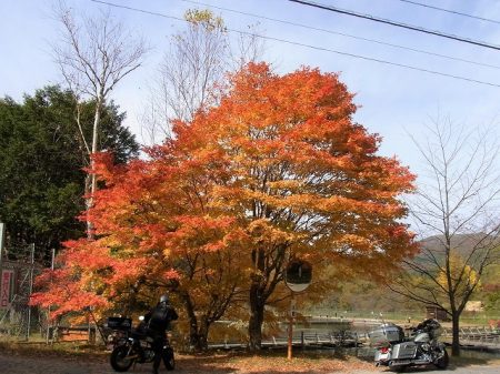 平谷湖フィッシングスポット 釣果