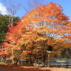 平谷湖フィッシングスポット 釣果