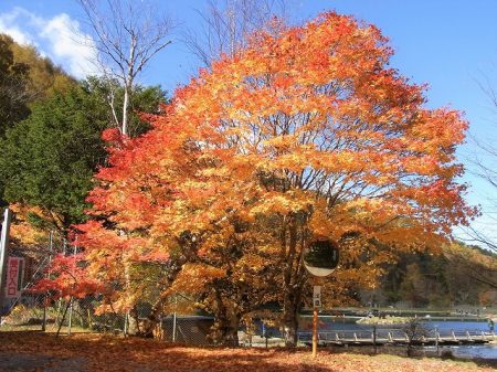 平谷湖フィッシングスポット 釣果