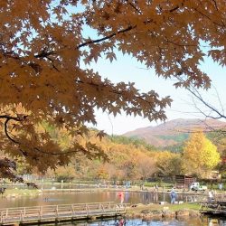 平谷湖フィッシングスポット 釣果