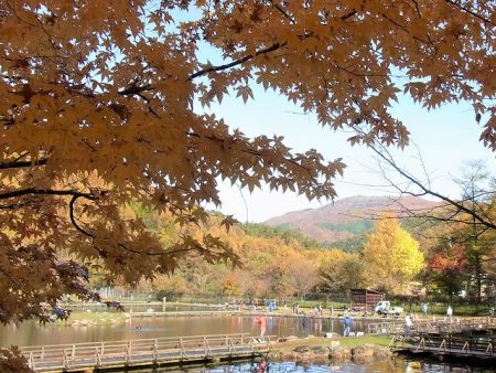 平谷湖フィッシングスポット 釣果