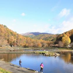 平谷湖フィッシングスポット 釣果