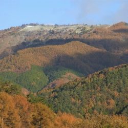 平谷湖フィッシングスポット 釣果