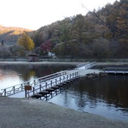 平谷湖フィッシングスポット 釣果