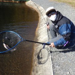 平谷湖フィッシングスポット 釣果