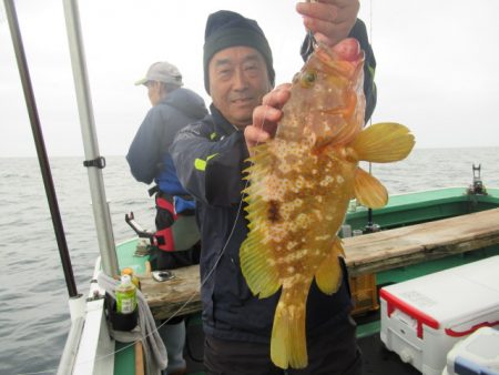 真祐丸 (しんゆうまる) 釣果