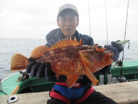 真祐丸 (しんゆうまる) 釣果