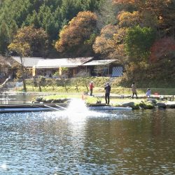 平谷湖フィッシングスポット 釣果