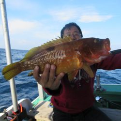 真祐丸 (しんゆうまる) 釣果