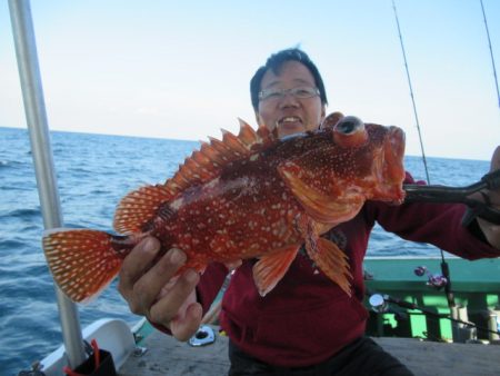 真祐丸 (しんゆうまる) 釣果