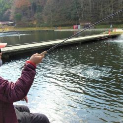 平谷湖フィッシングスポット 釣果