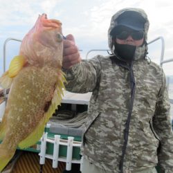 真祐丸 （しんゆうまる） 釣果