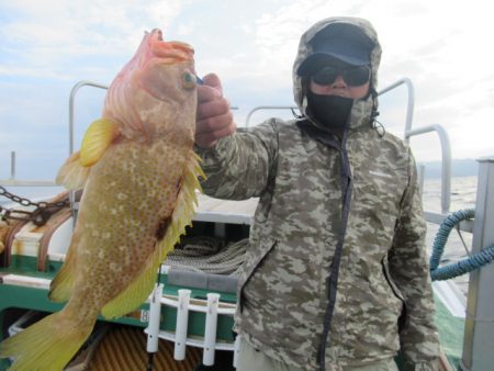 真祐丸 （しんゆうまる） 釣果