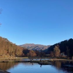 平谷湖フィッシングスポット 釣果