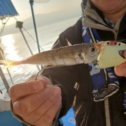 海晴丸 釣果