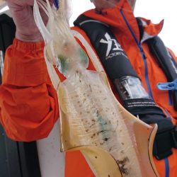 シースナイパー海龍 釣果