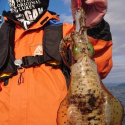 シースナイパー海龍 釣果