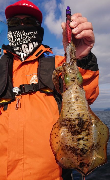 シースナイパー海龍 釣果