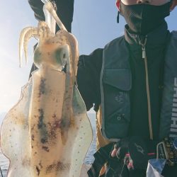 シースナイパー海龍 釣果