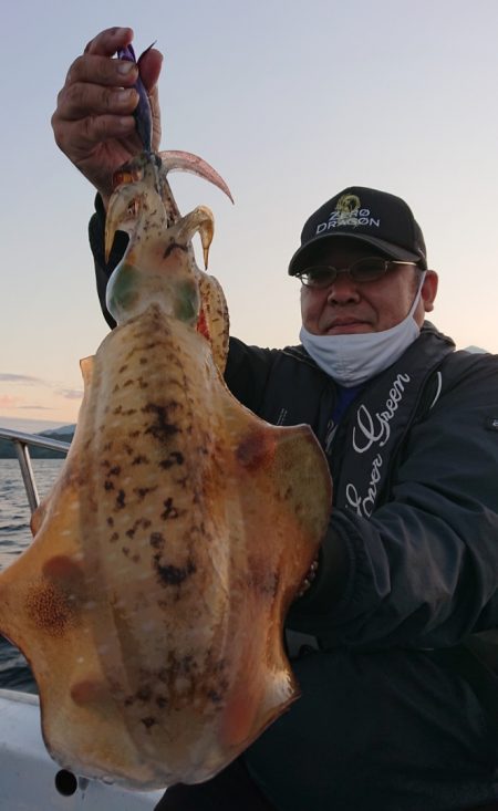 シースナイパー海龍 釣果