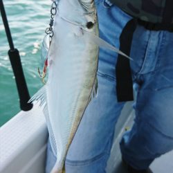 遊漁船 家入 釣果