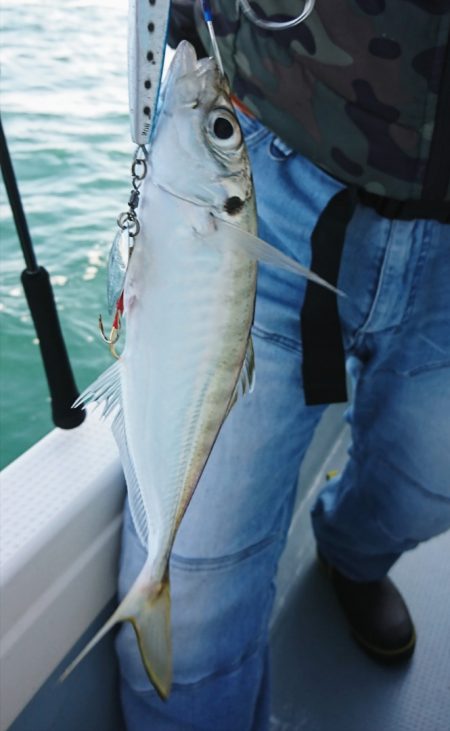 遊漁船 家入 釣果