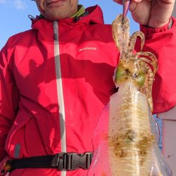 シースナイパー海龍 釣果