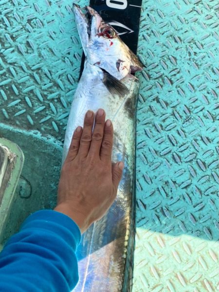 ヤザワ渡船 釣果