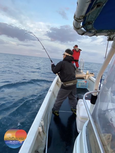 幕島丸 釣果