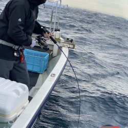 幕島丸 釣果