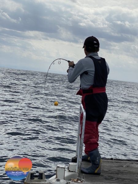 幕島丸 釣果