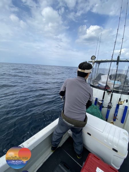 幕島丸 釣果