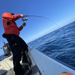 幕島丸 釣果