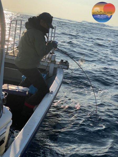 幕島丸 釣果