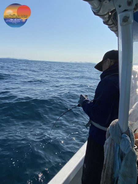幕島丸 釣果